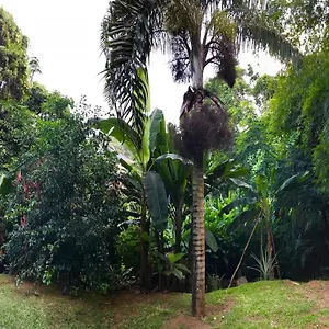 La Nature Apartment